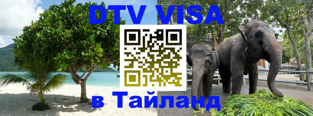 DTV Visa Тайланд купить 