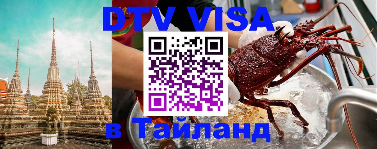 Оформление DTV визы под ключ: стоимость и тарифы, только загранпаспорт - 06.12.2025 